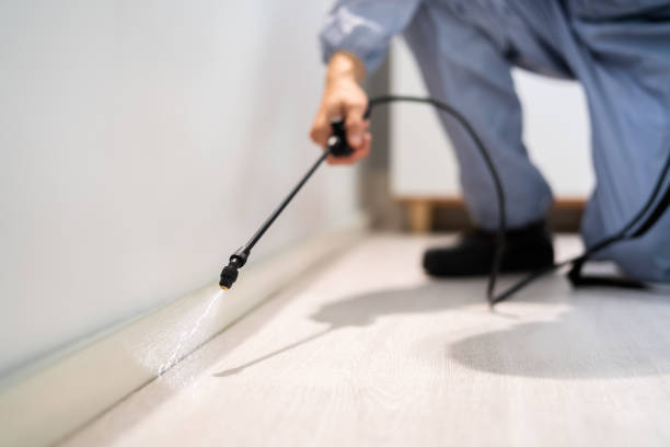Licensed Fumigation Services service in Weldon, CA - Nex Pest Control