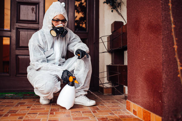 Reliable Fumigation Services contractor in Weldon, CA by Nex Pest Control